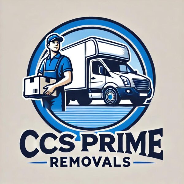 Logo profesional pentru firmă de curierat rapid și livrări naționale